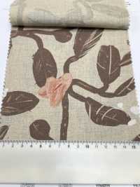 7025-1700-3 CL Loomstate[Textile / Fabric] HOKKOH Sub Photo