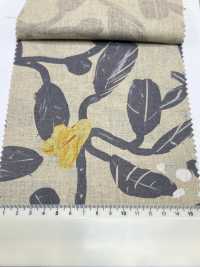 7025-1700-3 CL Loomstate[Textile / Fabric] HOKKOH Sub Photo