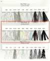 TA-7730 Fancy Yarn Tape Yarn