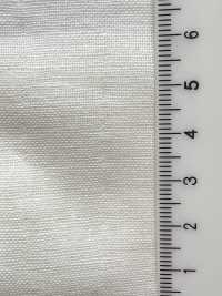 62000 Double Gauze[Textile / Fabric] Artemond Sub Photo