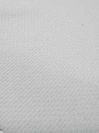 85000 Milky Mesh[Textile / Fabric] Artemond Sub Photo