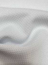 85000 Milky Mesh[Textile / Fabric] Artemond Sub Photo