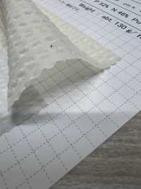 OS599 Sheer Gingham Stretch[Textile / Fabric] SHIBAYA Sub Photo
