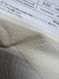 OS599 Sheer Gingham Stretch[Textile / Fabric] SHIBAYA Sub Photo