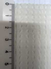 OS599 Sheer Gingham Stretch[Textile / Fabric] SHIBAYA Sub Photo