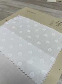 A-1691 Jacquard[Textile / Fabric] ARINOBE Sub Photo