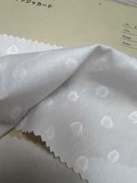 A-1691 Jacquard[Textile / Fabric] ARINOBE Sub Photo