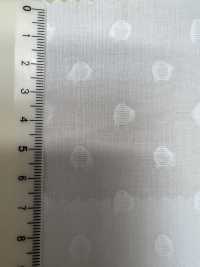 A-1691 Jacquard[Textile / Fabric] ARINOBE Sub Photo