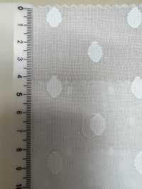 A-1526 Dobby[Textile / Fabric] ARINOBE Sub Photo