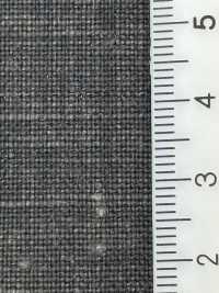 HK5022B 25 Linen/Ink Coating[Textile / Fabric] KOYAMA Sub Photo