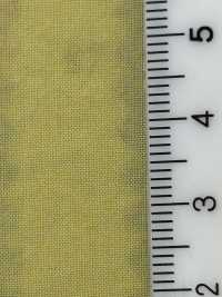 PSW5095 50/1 Tencel Lawn[Textile / Fabric] KOYAMA Sub Photo