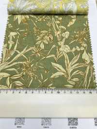 3025-650-6 60 Lawn Leaf [outlet][Textile / Fabric] HOKKOH Sub Photo