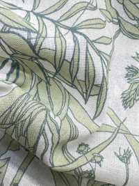 3025-650-6 60 Lawn Leaf [outlet][Textile / Fabric] HOKKOH Sub Photo