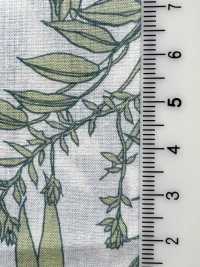 3025-650-6 60 Lawn Leaf [outlet][Textile / Fabric] HOKKOH Sub Photo
