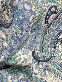 4025-660-6 60 Lawn Paisley [outlet][Textile / Fabric] HOKKOH Sub Photo