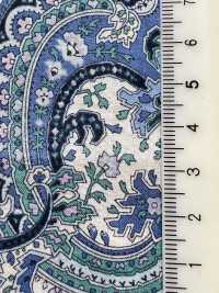 4025-660-6 60 Lawn Paisley [outlet][Textile / Fabric] HOKKOH Sub Photo