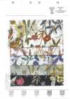 4025-660-7 60 Lawn Watercolor Itome Flower [outlet]