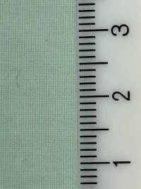 S-120 Polyester New Synthetic Taffeta[Textile / Fabric] Tokyo Tagawa Sub Photo