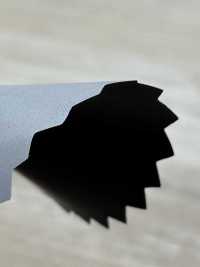 3012 Polyester Blackout[Textile / Fabric] Tokyo Tagawa Sub Photo