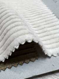 C2109 8W High Density Compact Yarn Corduroy[Textile / Fabric] COLLECT Sub Photo
