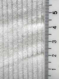 C2109 8W High Density Compact Yarn Corduroy[Textile / Fabric] COLLECT Sub Photo