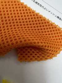 THELMA Selma[Textile / Fabric] Shinko Sub Photo