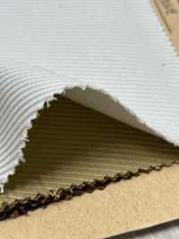 715 Demon Kersey[Textile / Fabric] No Name Sub Photo