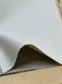 BFC169 Vintage Pique[Textile / Fabric] No Name Sub Photo