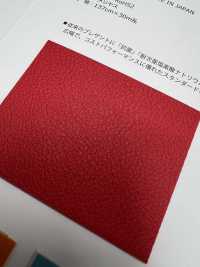 PLEASANT Pleasant[Textile / Fabric] Shinko Sub Photo
