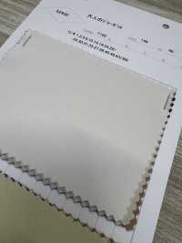 52932 Georgette For Adults[Textile / Fabric] Parika Sub Photo