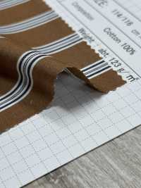 SB52731 Filllow® 80/2 Broadcloth[Textile / Fabric] SHIBAYA Sub Photo