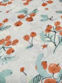 1026-625-1 60 Lawn Real[Textile / Fabric] HOKKOH Sub Photo
