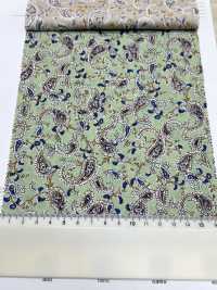 3026-650-7 60 Lawn Paisley[Textile / Fabric] HOKKOH Sub Photo
