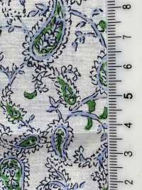 3026-650-7 60 Lawn Paisley[Textile / Fabric] HOKKOH Sub Photo