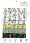 8026-680-4 80s Lawn Miracle Wave Striped Floral