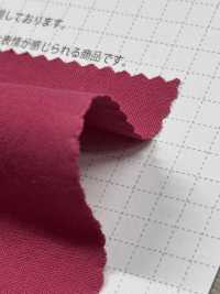 OS3063 Organic High Density Poplin[Textile / Fabric] SHIBAYA Sub Photo
