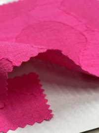 DS8450S C/F Jacquard Stone[Textile / Fabric] KOYAMA Sub Photo