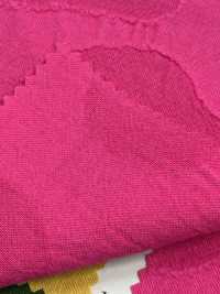 DS8450S C/F Jacquard Stone[Textile / Fabric] KOYAMA Sub Photo