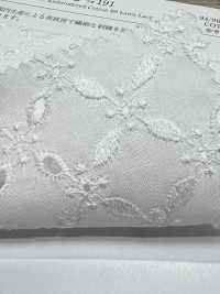 KCL522-D191 60 Lawn Lace[Textile / Fabric] Uni Textile(Komon Studio) Sub Photo