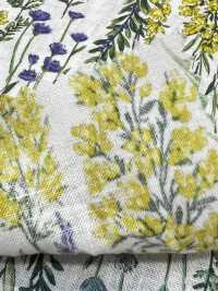 8026-790-1 Linen Loomstate Striped Flower[Textile / Fabric] HOKKOH Sub Photo