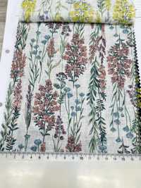 8026-790-1 Linen Loomstate Striped Flower[Textile / Fabric] HOKKOH Sub Photo
