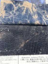 DCL658 Decolore 6W Corduroy[Textile / Fabric] Kumoi Beauty Sub Photo