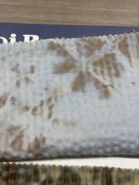 DCL658 Decolore 6W Corduroy[Textile / Fabric] Kumoi Beauty Sub Photo