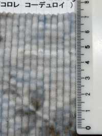 DCL658 Decolore 6W Corduroy[Textile / Fabric] Kumoi Beauty Sub Photo