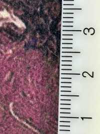 GARDEN Garden[Textile / Fabric] Shinko Sub Photo