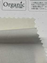 SBT-010 Organic Cotton Tamamushi Typewriter Cloth[Textile / Fabric] Kuwamura Textile Sub Photo