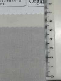 SBT-010 Organic Cotton Tamamushi Typewriter Cloth[Textile / Fabric] Kuwamura Textile Sub Photo