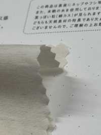 STL-9213 Linen Typewriter Cloth[Textile / Fabric] Kuwamura Textile Sub Photo