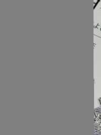 IZAYOI Izayoi[Textile / Fabric] Shinko Sub Photo