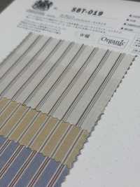 SBT-019 Organic Natural Wrinkle Washed Stripes[Textile / Fabric] Kuwamura Textile Sub Photo